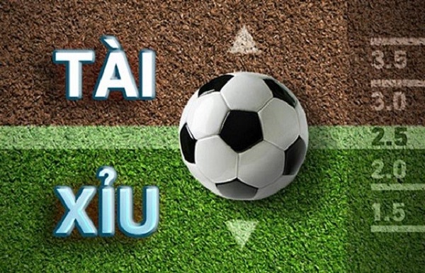 Cách đọc kèo tài xỉu - Hướng dẫn chi tiết cho người mới bắt đầu
