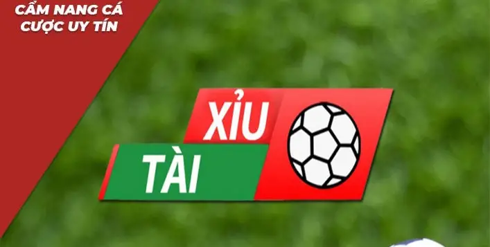 Cách đọc kèo tài xỉu - Hướng dẫn chi tiết cho người mới bắt đầu