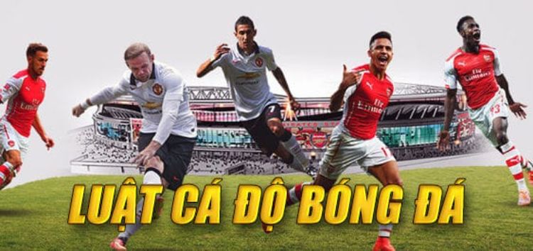 luat choi ca do bong da 680a3d7501060