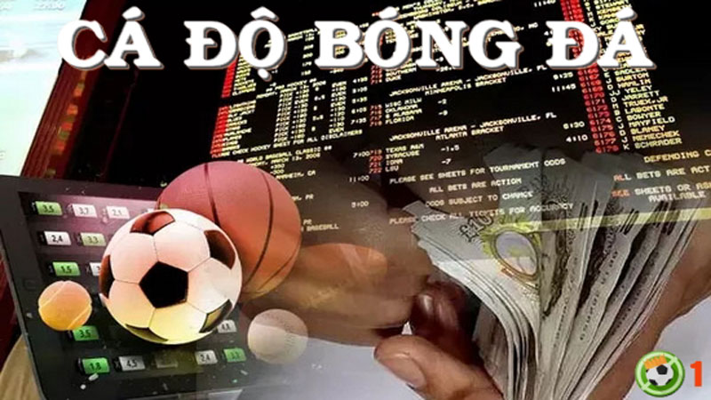 Thua Cá Độ Bóng Đá Vượt Qua Cơn Mê Và Tìm Lại Bình Yên