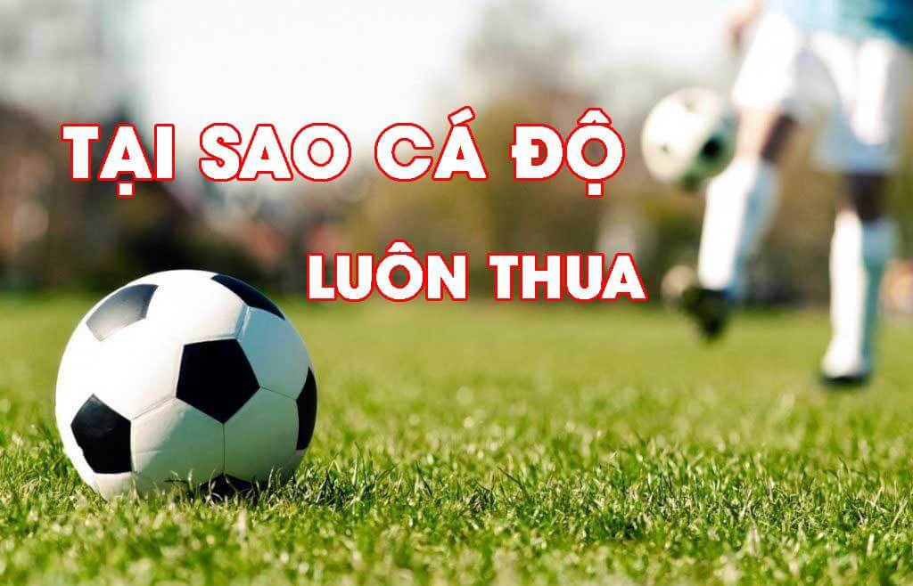 Thua Cá Độ Bóng Đá Vượt Qua Cơn Mê Và Tìm Lại Bình Yên