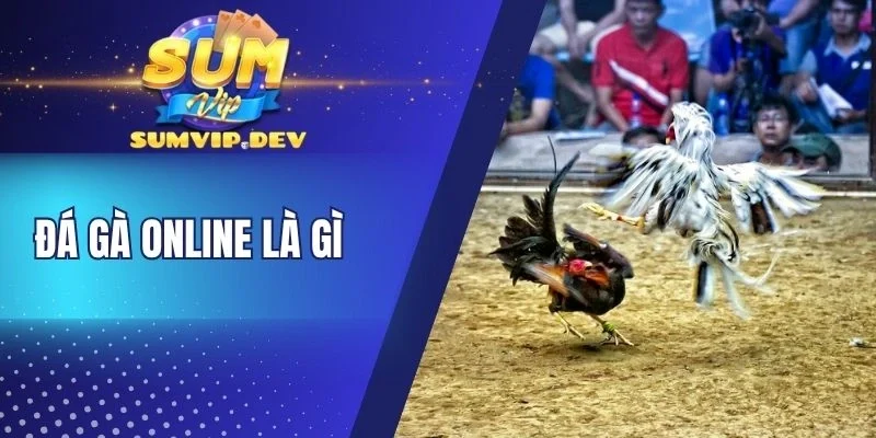 Hình thức đá gà cựa dao kịch tính